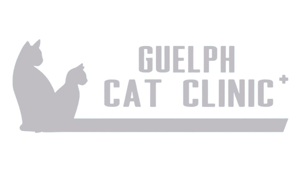 Guelph Cat Clinic